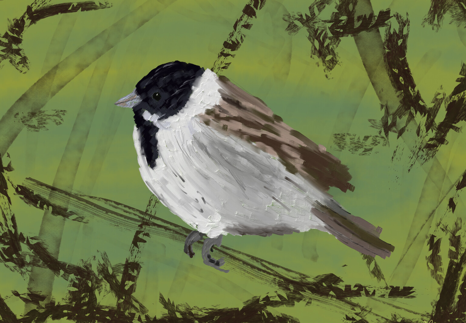 Reed bunting